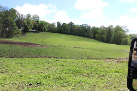 158.6 Acre Warren County Kentucky Land and Farm Auction - image 37