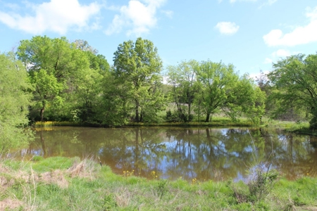 158.6 Acre Warren County Kentucky Land and Farm Auction - image 41
