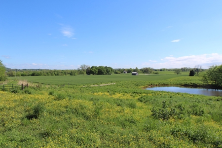 158.6 Acre Warren County Kentucky Land and Farm Auction - image 24