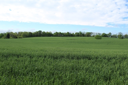 158.6 Acre Warren County Kentucky Land and Farm Auction - image 48