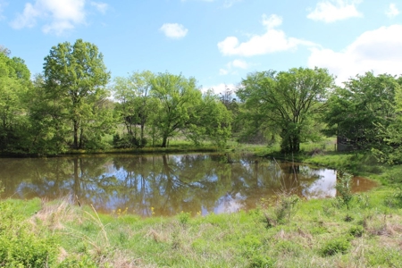 158.6 Acre Warren County Kentucky Land and Farm Auction - image 40