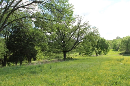 158.6 Acre Warren County Kentucky Land and Farm Auction - image 39