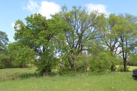 158.6 Acre Warren County Kentucky Land and Farm Auction - image 46