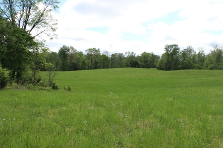 158.6 Acre Warren County Kentucky Land and Farm Auction - image 45