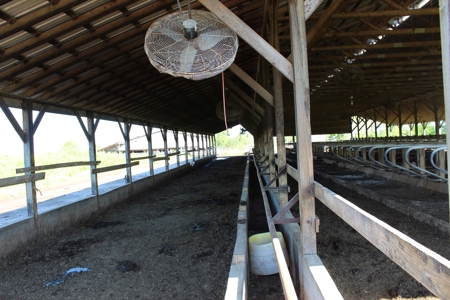 158.6 Acre Warren County Kentucky Land and Farm Auction - image 23