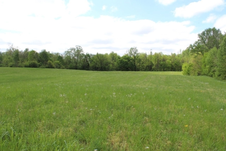 158.6 Acre Warren County Kentucky Land and Farm Auction - image 44