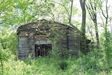158.6 Acre Warren County Kentucky Land and Farm Auction - image 43