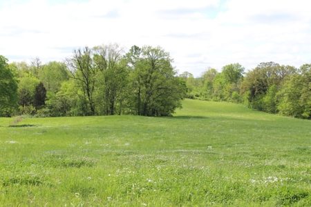 158.6 Acre Warren County Kentucky Land and Farm Auction - image 38