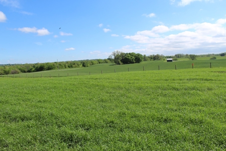 158.6 Acre Warren County Kentucky Land and Farm Auction - image 26
