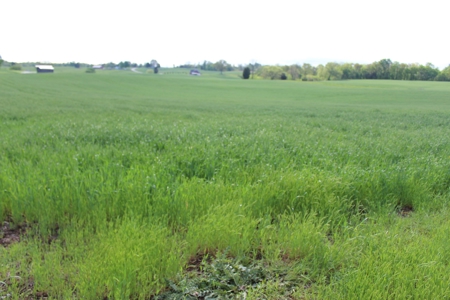 158.6 Acre Warren County Kentucky Land and Farm Auction - image 6