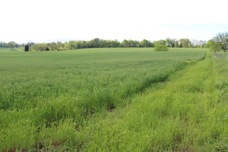 158.6 Acre Warren County Kentucky Land and Farm Auction - image 5