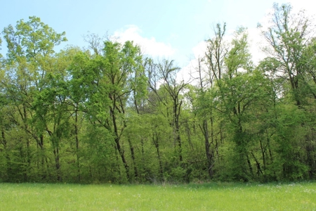 158.6 Acre Warren County Kentucky Land and Farm Auction - image 47