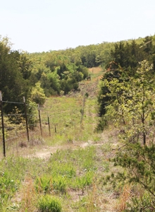 Hunting Land Cabin Home For Sale Oklahoma Hughes County - image 19