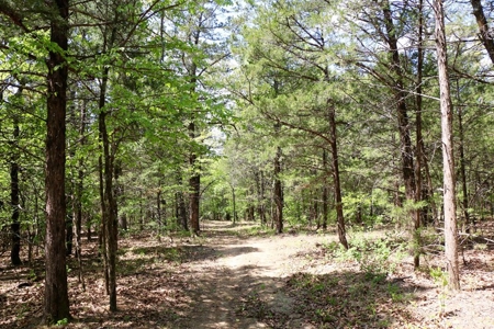Hunting Land Cabin Home For Sale Oklahoma Hughes County - image 17