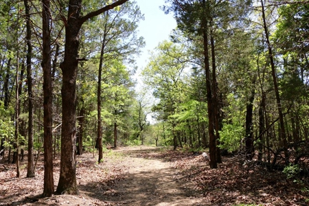 Hunting Land Cabin Home For Sale Oklahoma Hughes County - image 18