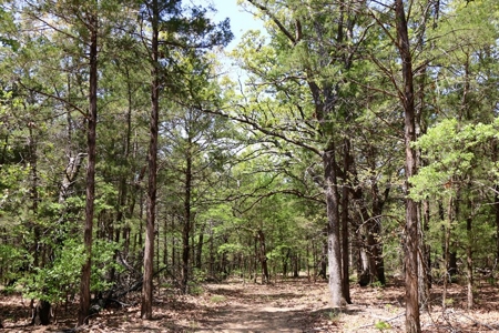 Hunting Land Cabin Home For Sale Oklahoma Hughes County - image 21