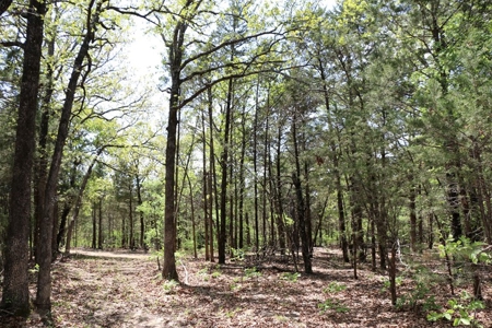 Hunting Land Cabin Home For Sale Oklahoma Hughes County - image 15