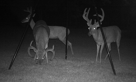 Hunting Land Cabin Home For Sale Oklahoma Hughes County - image 31