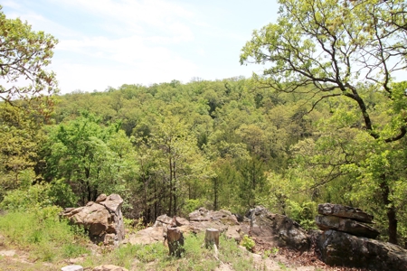 Hunting Land Cabin Home For Sale Oklahoma Hughes County - image 10