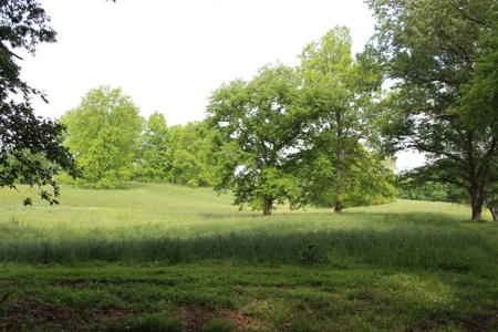 30 Acre Warren Co. Land Auction with Development Potential - image 23