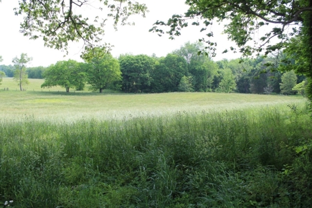 30 Acre Warren Co. Land Auction with Development Potential - image 27