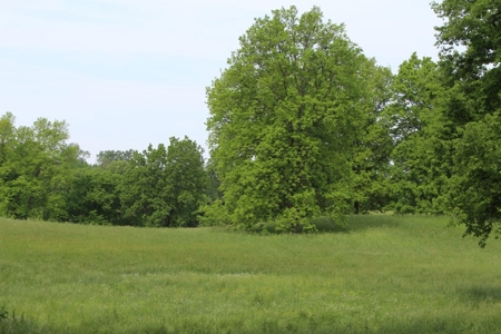 30 Acre Warren Co. Land Auction with Development Potential - image 34
