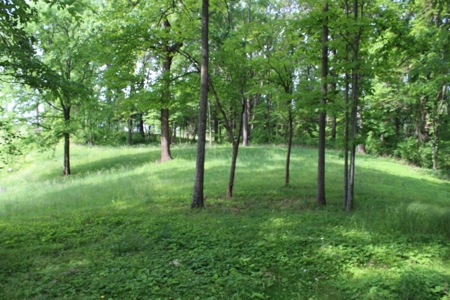30 Acre Warren Co. Land Auction with Development Potential - image 15
