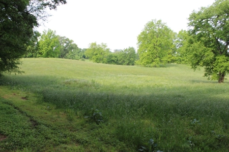 30 Acre Warren Co. Land Auction with Development Potential - image 33