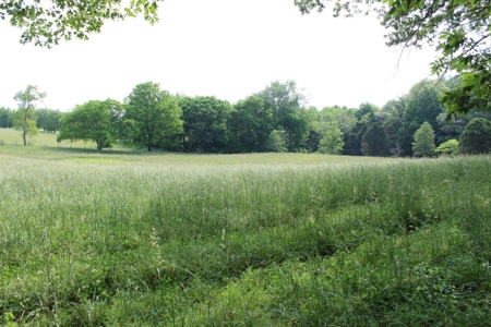 30 Acre Warren Co. Land Auction with Development Potential - image 30