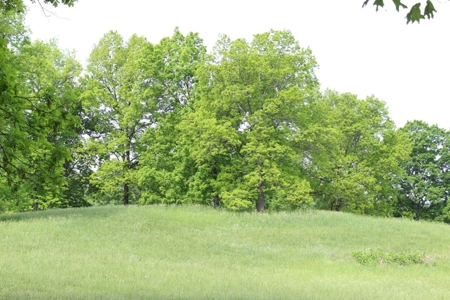 30 Acre Warren Co. Land Auction with Development Potential - image 29