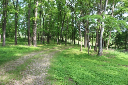 30 Acre Warren Co. Land Auction with Development Potential - image 13