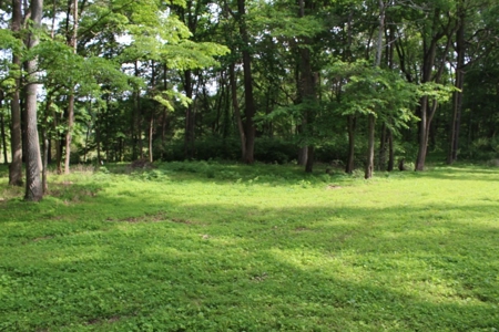 30 Acre Warren Co. Land Auction with Development Potential - image 12