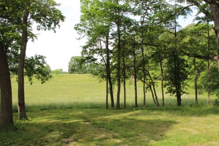 30 Acre Warren Co. Land Auction with Development Potential - image 9