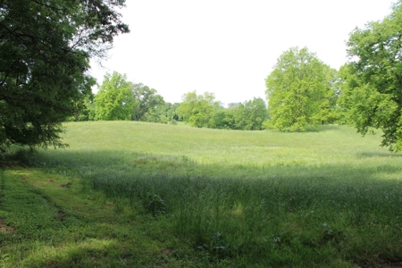 30 Acre Warren Co. Land Auction with Development Potential - image 26