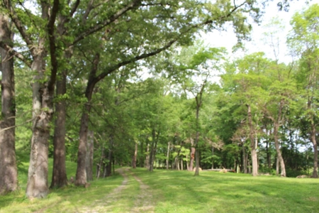 30 Acre Warren Co. Land Auction with Development Potential - image 8