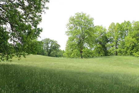30 Acre Warren Co. Land Auction with Development Potential - image 2