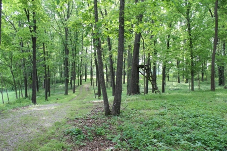 30 Acre Warren Co. Land Auction with Development Potential - image 22