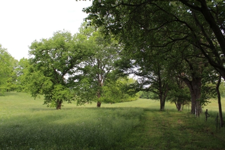 30 Acre Warren Co. Land Auction with Development Potential - image 35