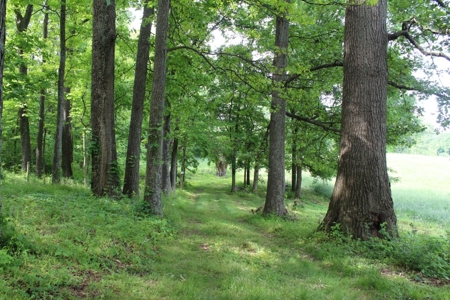 30 Acre Warren Co. Land Auction with Development Potential - image 25