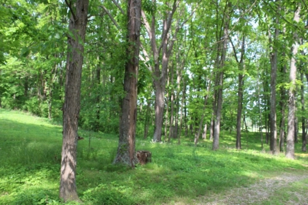 30 Acre Warren Co. Land Auction with Development Potential - image 14