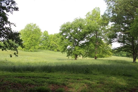 30 Acre Warren Co. Land Auction with Development Potential - image 24