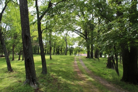 30 Acre Warren Co. Land Auction with Development Potential - image 1