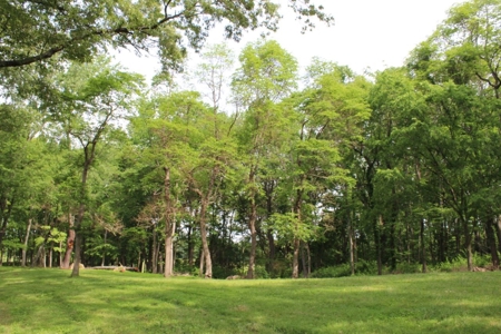 30 Acre Warren Co. Land Auction with Development Potential - image 7