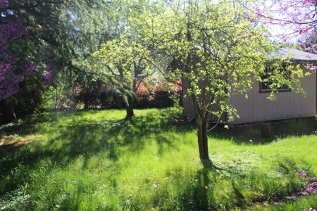 Grants Pass Oregon Country Home Not Far From Town - image 30