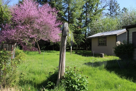 Grants Pass Oregon Country Home Not Far From Town - image 26