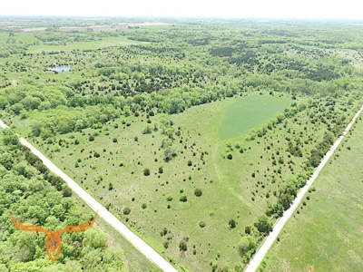 Putnam County Land iAuction - image 19