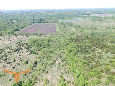 Putnam County Land iAuction - image 27