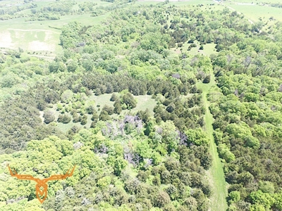 Putnam County Land iAuction - image 40