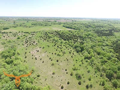 Putnam County Land iAuction - image 23