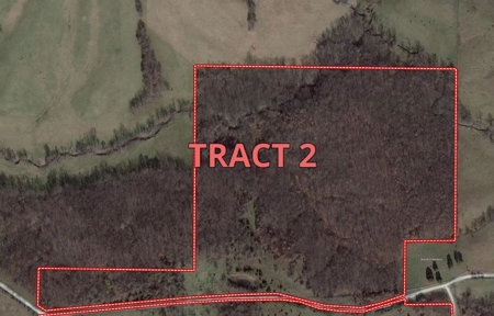 Putnam County Land iAuction - image 49